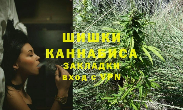дживик Протвино