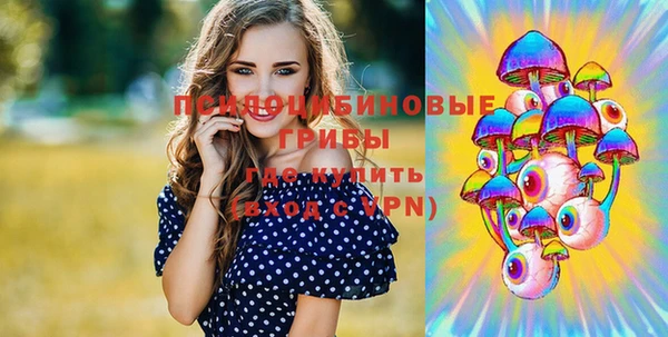 дживик Протвино