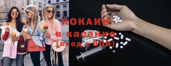 тгк Алексин
